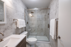 shower2