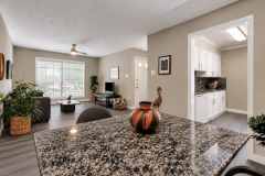 kitchen-white-cabinets-w-granite