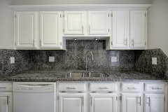 large-kitchen2-dishwasher-left